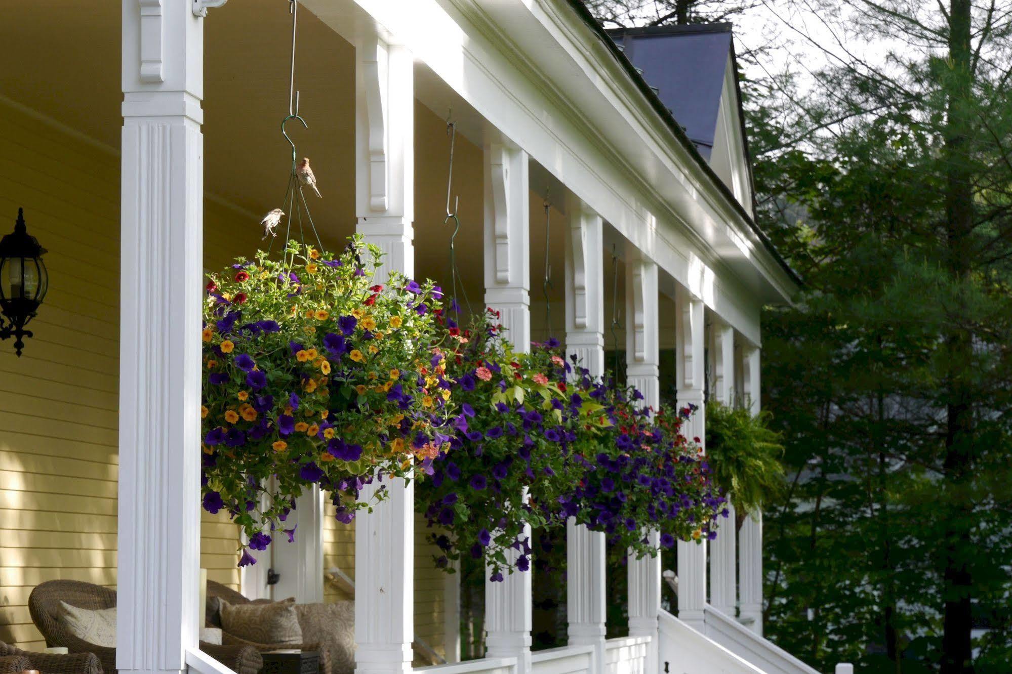 The Jackson Hotel Woodstock Exterior foto